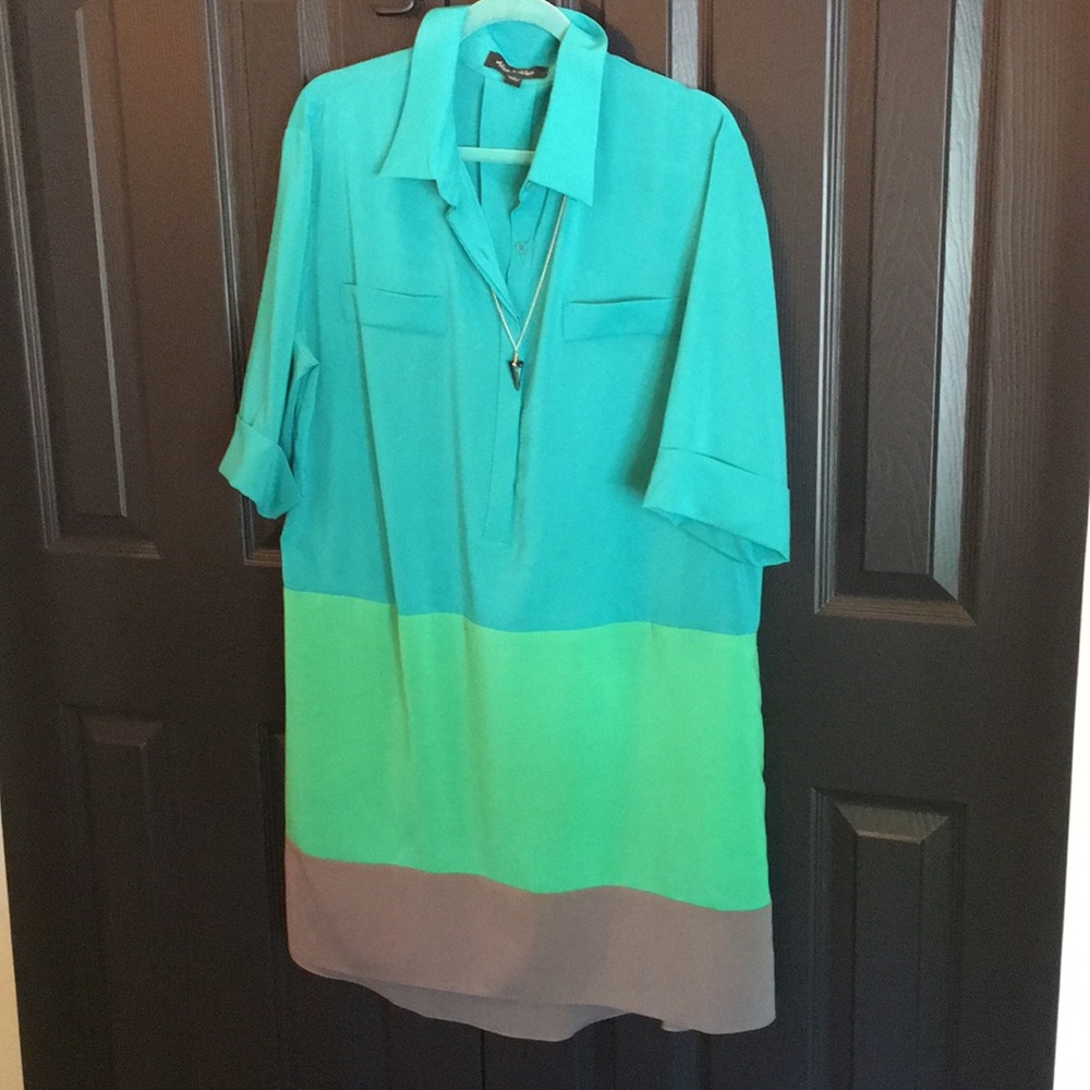 Alex + Alex color block short dress or tunic